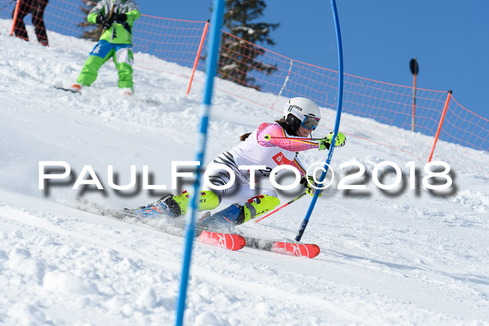 Int. Deutsche Meisterschaft Slalom 25.03.2018