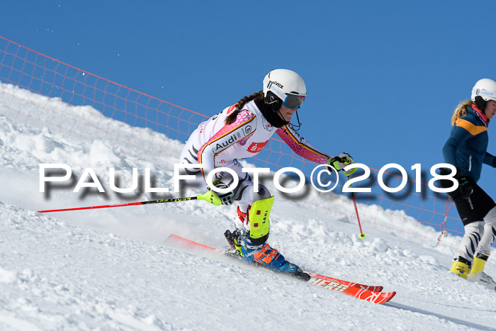 Int. Deutsche Meisterschaft Slalom 25.03.2018