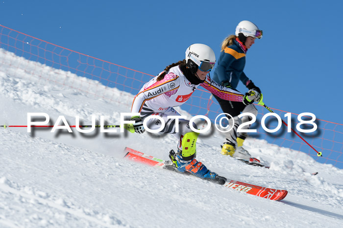 Int. Deutsche Meisterschaft Slalom 25.03.2018