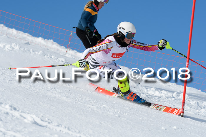 Int. Deutsche Meisterschaft Slalom 25.03.2018