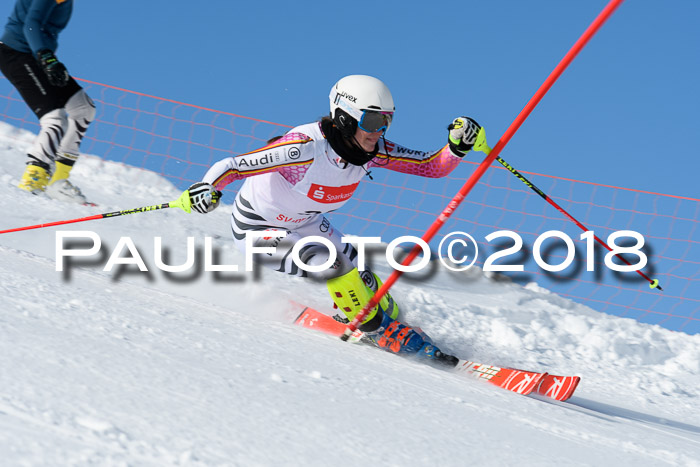 Int. Deutsche Meisterschaft Slalom 25.03.2018