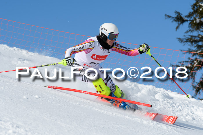 Int. Deutsche Meisterschaft Slalom 25.03.2018