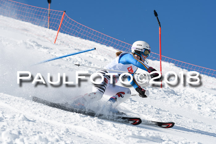 Int. Deutsche Meisterschaft Slalom 25.03.2018