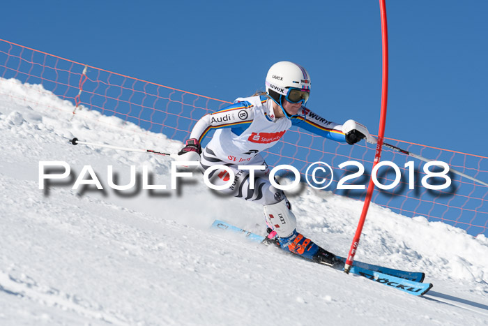 Int. Deutsche Meisterschaft Slalom 25.03.2018