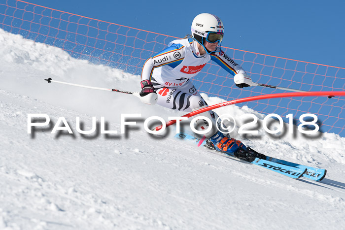 Int. Deutsche Meisterschaft Slalom 25.03.2018