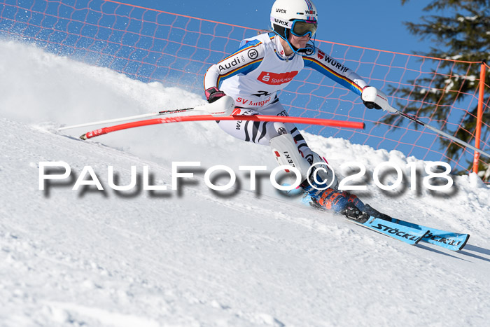 Int. Deutsche Meisterschaft Slalom 25.03.2018