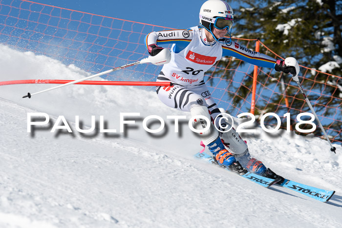 Int. Deutsche Meisterschaft Slalom 25.03.2018