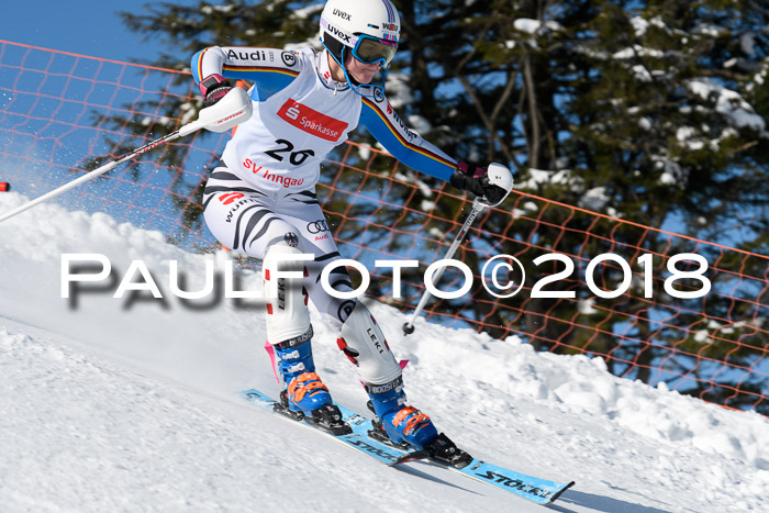 Int. Deutsche Meisterschaft Slalom 25.03.2018