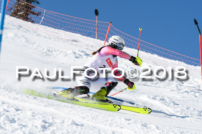 Int. Deutsche Meisterschaft Slalom 25.03.2018