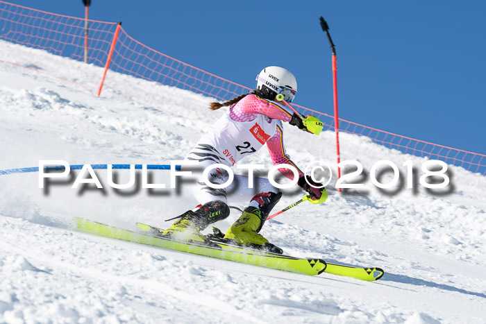 Int. Deutsche Meisterschaft Slalom 25.03.2018