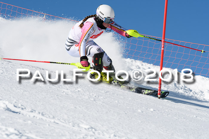 Int. Deutsche Meisterschaft Slalom 25.03.2018