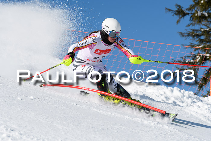 Int. Deutsche Meisterschaft Slalom 25.03.2018