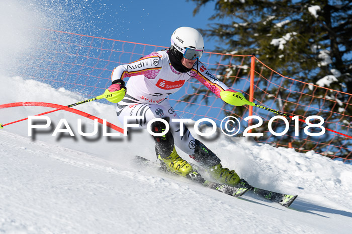 Int. Deutsche Meisterschaft Slalom 25.03.2018