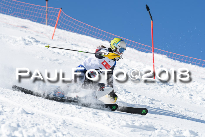 Int. Deutsche Meisterschaft Slalom 25.03.2018