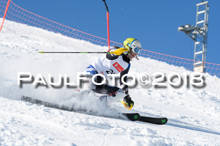 Int. Deutsche Meisterschaft Slalom 25.03.2018