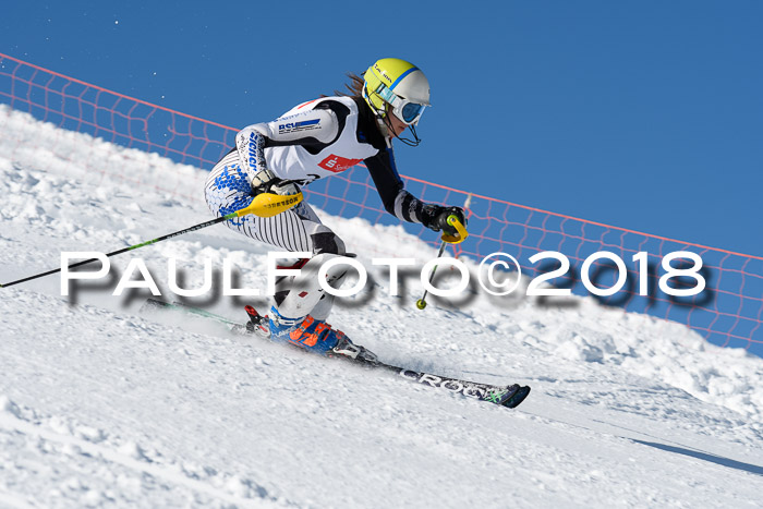 Int. Deutsche Meisterschaft Slalom 25.03.2018