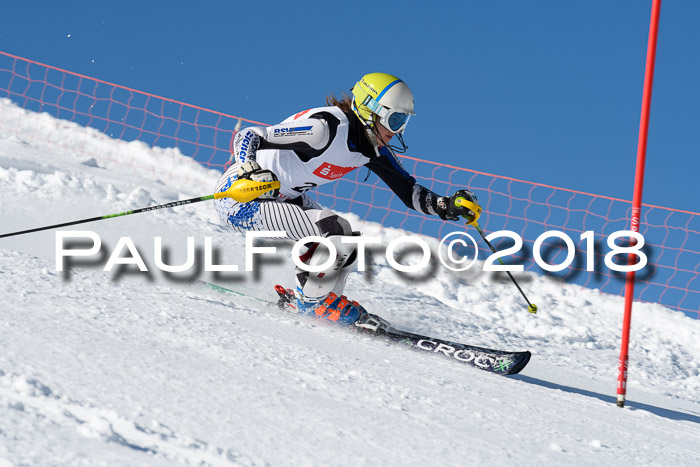 Int. Deutsche Meisterschaft Slalom 25.03.2018