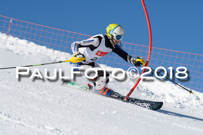 Int. Deutsche Meisterschaft Slalom 25.03.2018