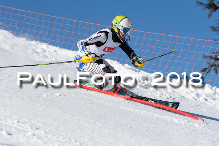 Int. Deutsche Meisterschaft Slalom 25.03.2018