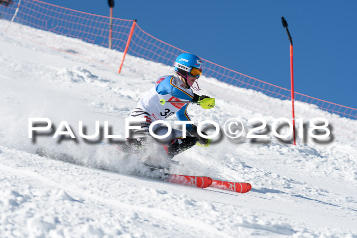 Int. Deutsche Meisterschaft Slalom 25.03.2018