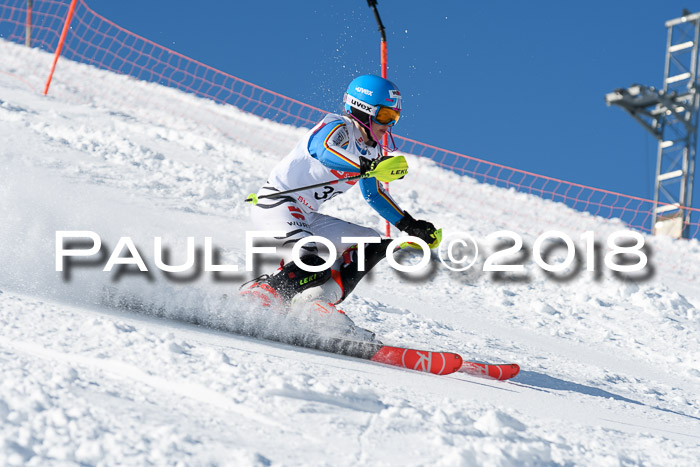 Int. Deutsche Meisterschaft Slalom 25.03.2018