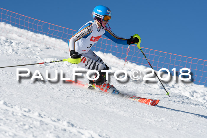 Int. Deutsche Meisterschaft Slalom 25.03.2018