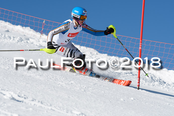 Int. Deutsche Meisterschaft Slalom 25.03.2018