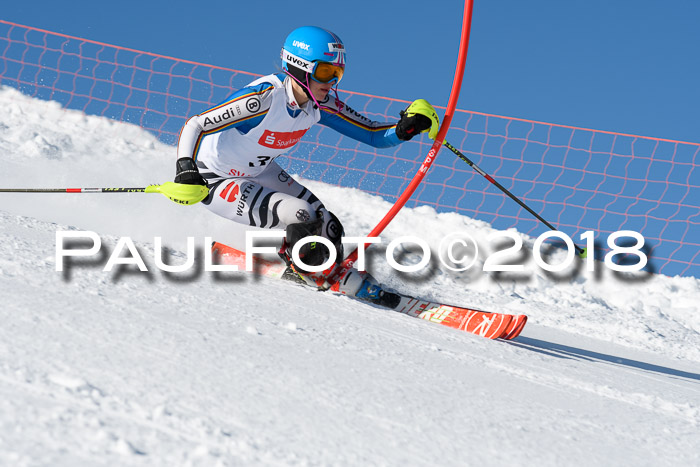 Int. Deutsche Meisterschaft Slalom 25.03.2018