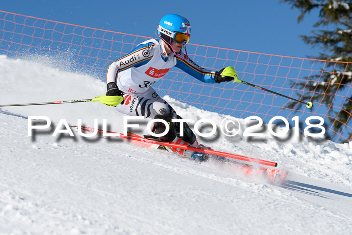 Int. Deutsche Meisterschaft Slalom 25.03.2018