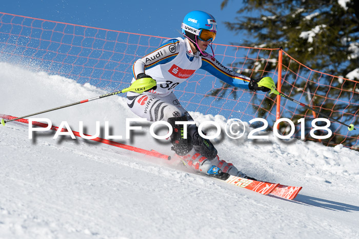 Int. Deutsche Meisterschaft Slalom 25.03.2018