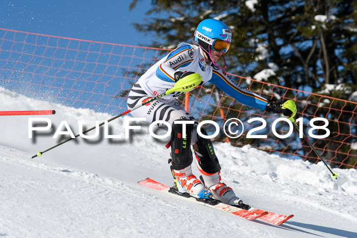 Int. Deutsche Meisterschaft Slalom 25.03.2018