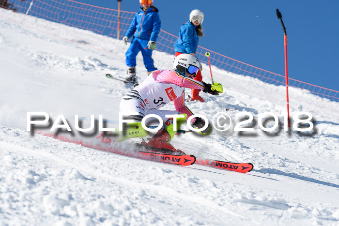 Int. Deutsche Meisterschaft Slalom 25.03.2018