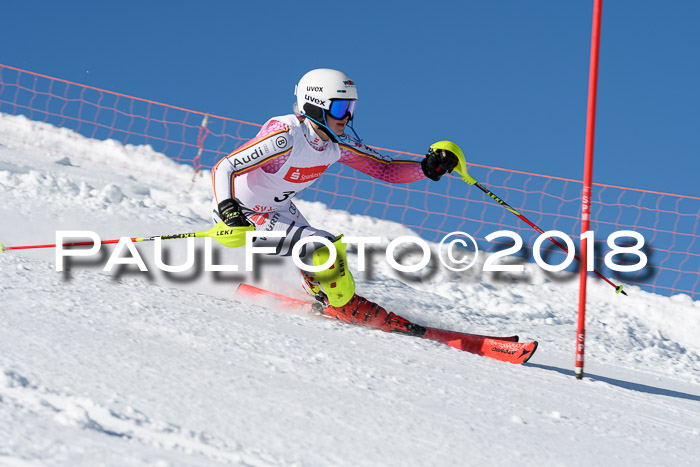 Int. Deutsche Meisterschaft Slalom 25.03.2018