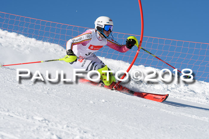 Int. Deutsche Meisterschaft Slalom 25.03.2018