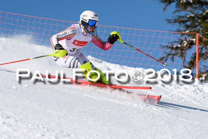 Int. Deutsche Meisterschaft Slalom 25.03.2018