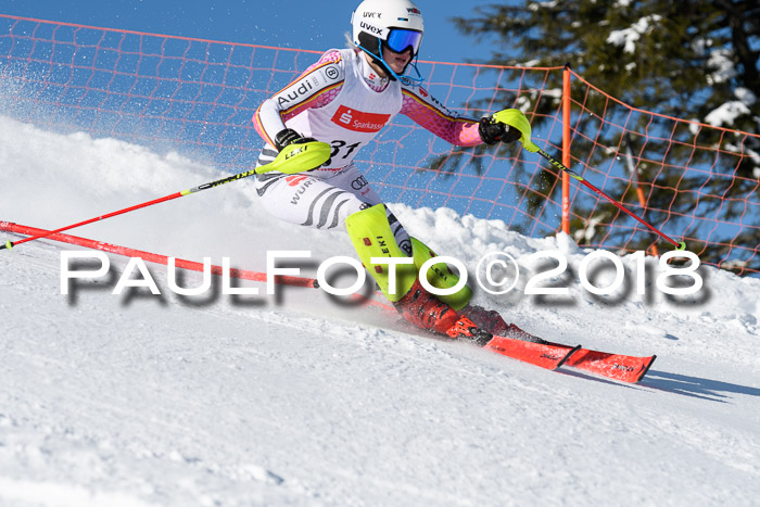 Int. Deutsche Meisterschaft Slalom 25.03.2018