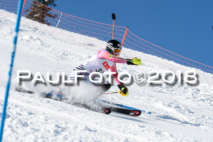 Int. Deutsche Meisterschaft Slalom 25.03.2018