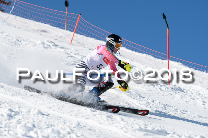 Int. Deutsche Meisterschaft Slalom 25.03.2018