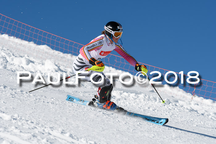 Int. Deutsche Meisterschaft Slalom 25.03.2018