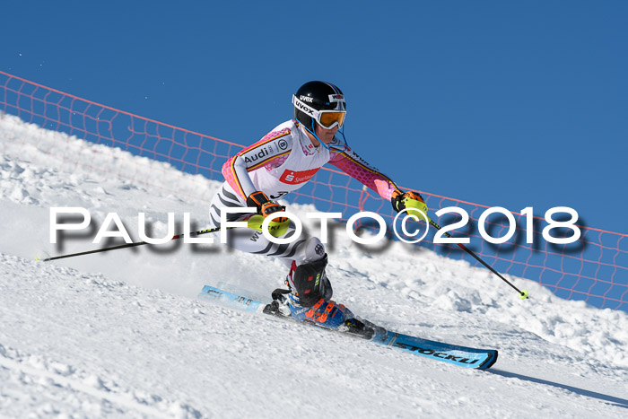 Int. Deutsche Meisterschaft Slalom 25.03.2018