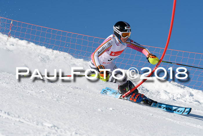 Int. Deutsche Meisterschaft Slalom 25.03.2018