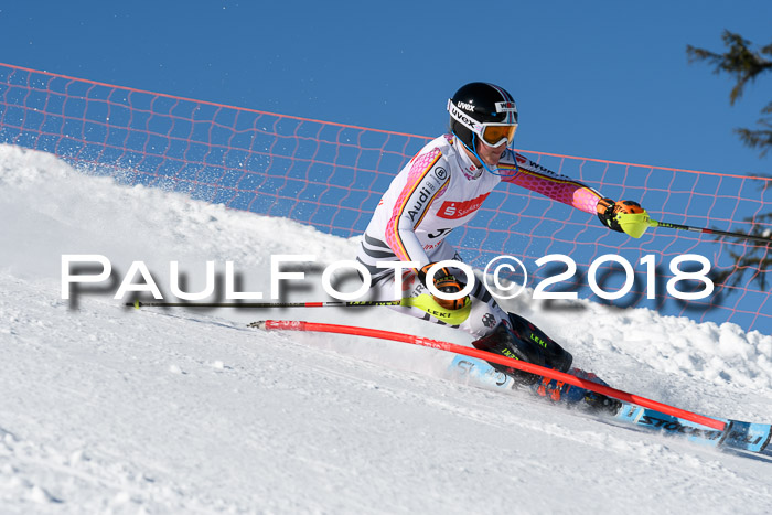 Int. Deutsche Meisterschaft Slalom 25.03.2018