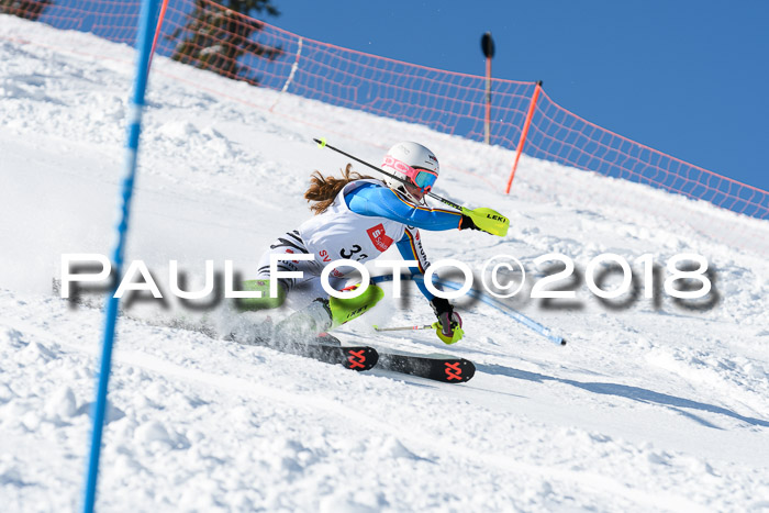 Int. Deutsche Meisterschaft Slalom 25.03.2018