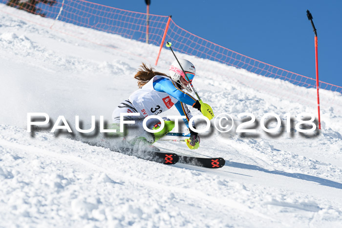 Int. Deutsche Meisterschaft Slalom 25.03.2018