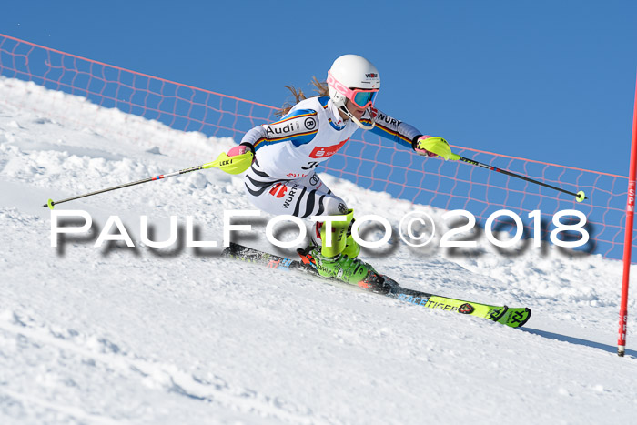 Int. Deutsche Meisterschaft Slalom 25.03.2018