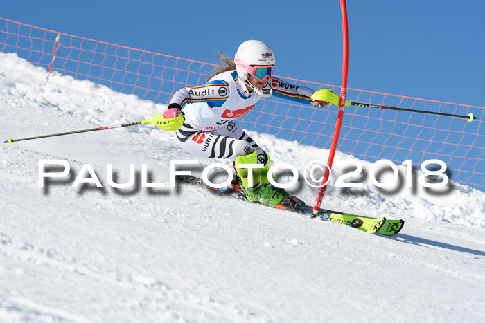 Int. Deutsche Meisterschaft Slalom 25.03.2018