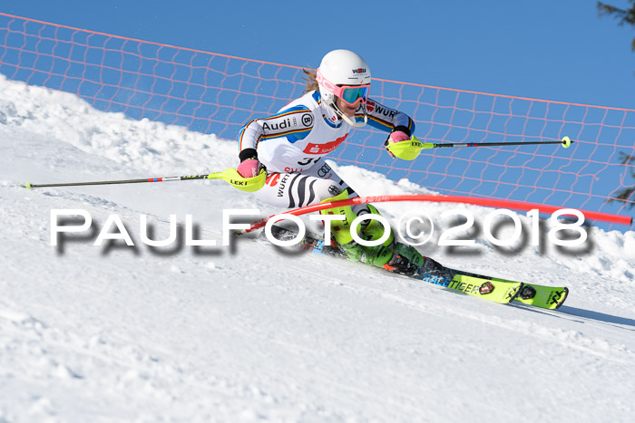 Int. Deutsche Meisterschaft Slalom 25.03.2018