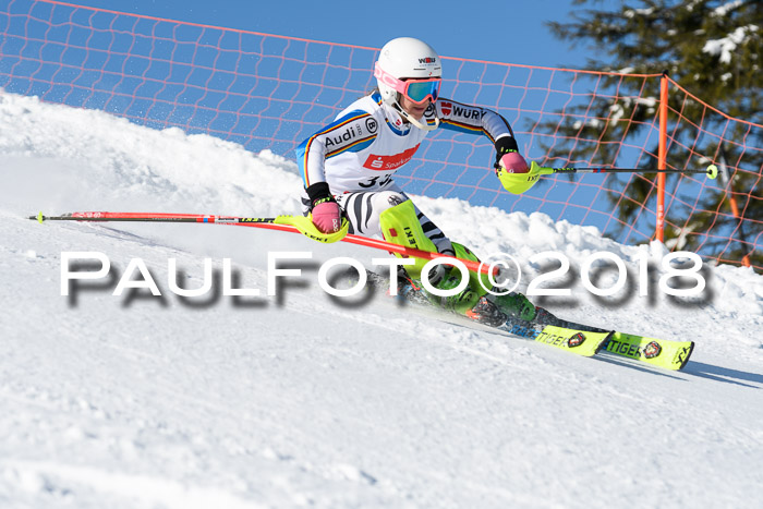 Int. Deutsche Meisterschaft Slalom 25.03.2018