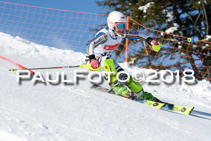 Int. Deutsche Meisterschaft Slalom 25.03.2018