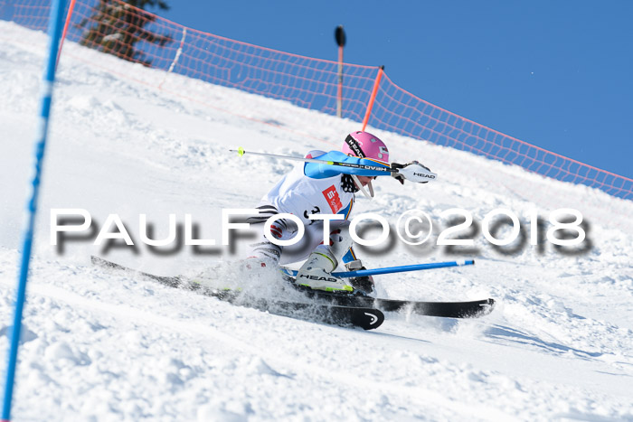 Int. Deutsche Meisterschaft Slalom 25.03.2018